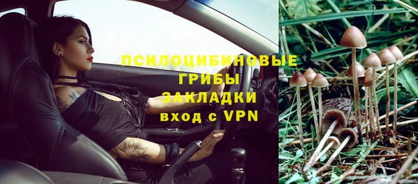 ешки Нефтекумск